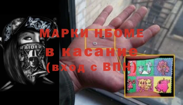 прущие грибы Новозыбков