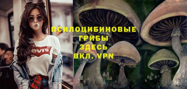 прущая мука Медвежьегорск