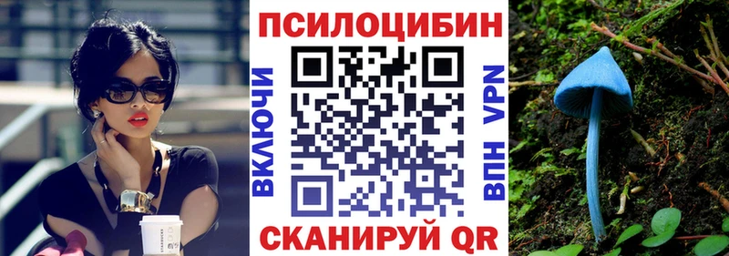 где найти   OMG как зайти  Галлюциногенные грибы MAGIC MUSHROOMS  Собинка 
